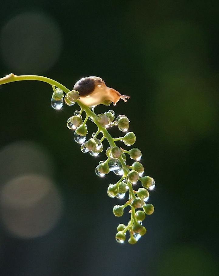 VyacheslavMishchenko15