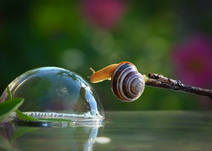 VyacheslavMishchenko4