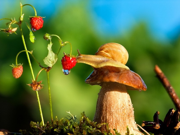 VyacheslavMishchenko8