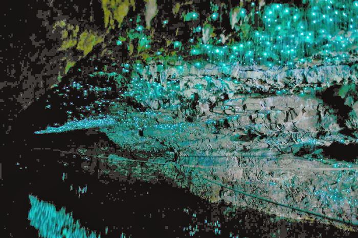 Waitomo Caves, New Zealand