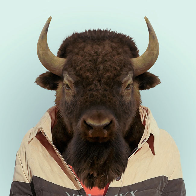 Zoo-Portraits-PHUNRISE-10