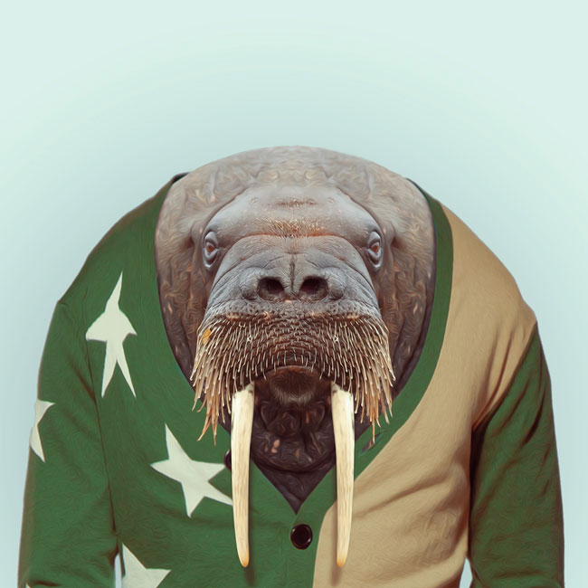 Zoo-Portraits-PHUNRISE-15