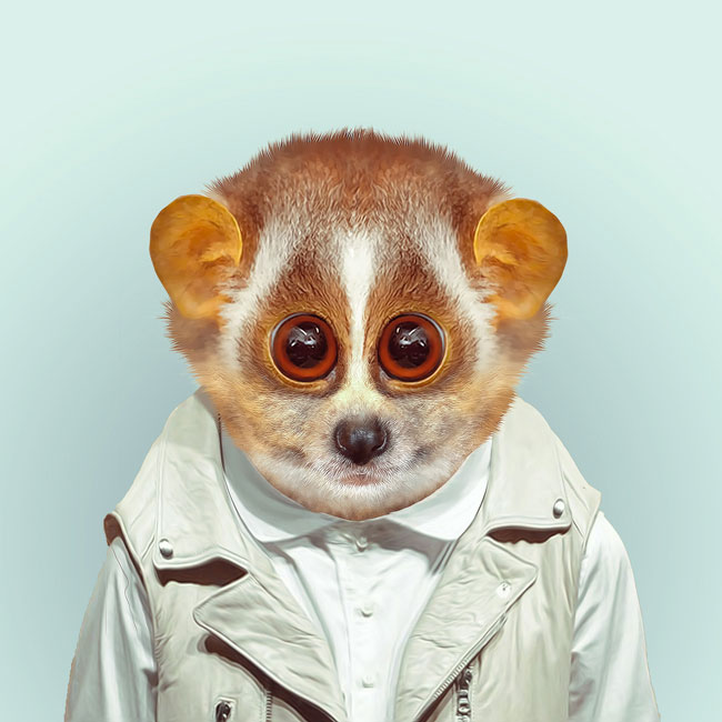 Zoo-Portraits-PHUNRISE-2