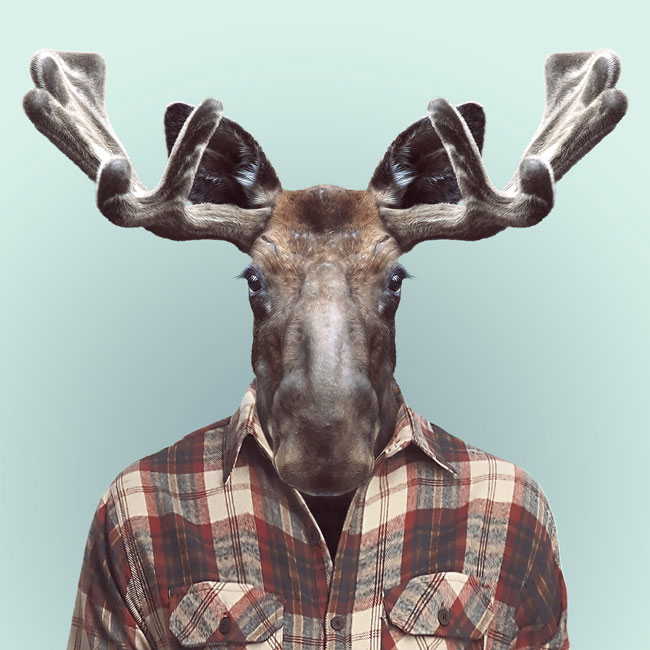 Zoo-Portraits-PHUNRISE-3